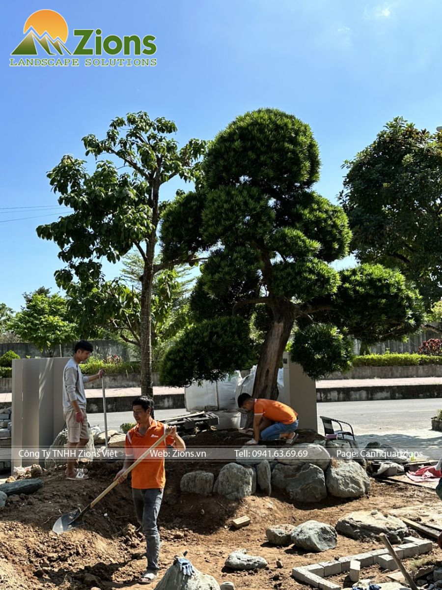 Phục hồi đất sau bão